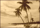 The bahamas